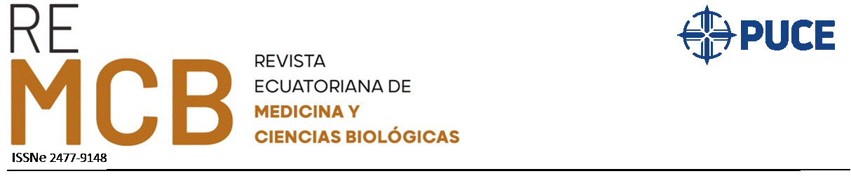 Cabecera